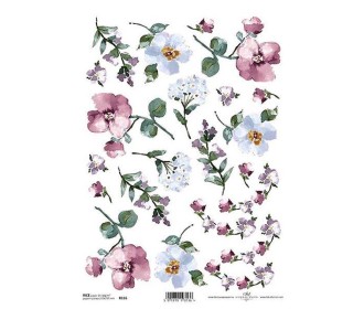 Ριζόχαρτο Ριζόχαρτο