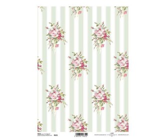 Ριζόχαρτο Ριζόχαρτο