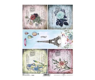 Ριζόχαρτο Ριζόχαρτο