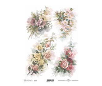 Ριζόχαρτο  Ριζόχαρτο