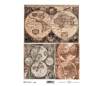 Ριζόχαρτο  Ριζόχαρτο