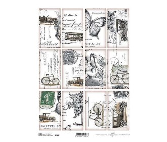 Ριζόχαρτο  Ριζόχαρτο