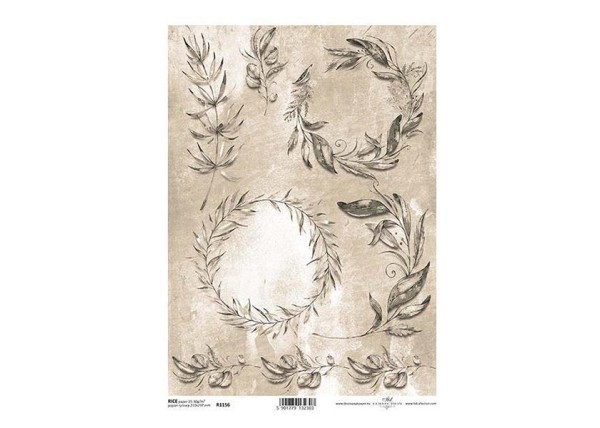 Ριζόχαρτο  Ριζόχαρτο