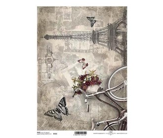 Ριζόχαρτο  Ριζόχαρτο