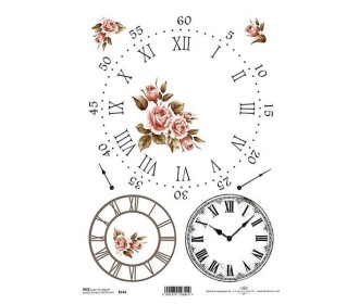 Ριζόχαρτο Ριζόχαρτο