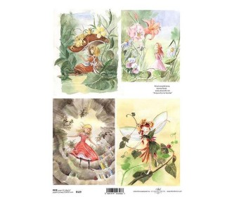 Ριζόχαρτο  Ριζόχαρτο