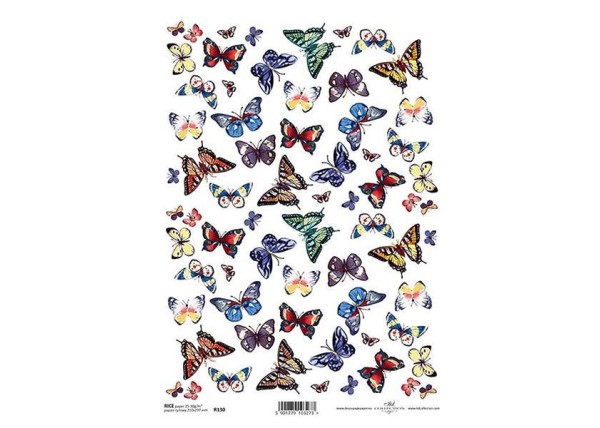 Ριζόχαρτο  Ριζόχαρτο