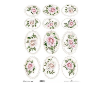 Ριζόχαρτο  Ριζόχαρτο