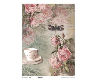 Ριζόχαρτο  Ριζόχαρτο