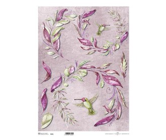 Ριζόχαρτο Ριζόχαρτο