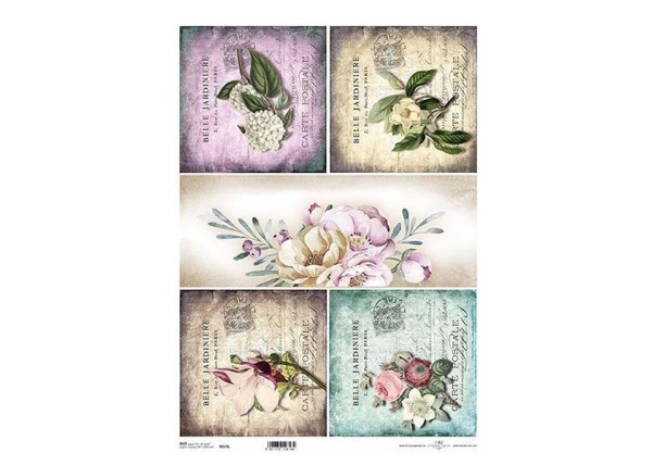 Ριζόχαρτο  Ριζόχαρτο