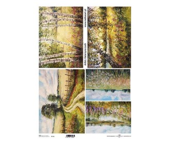 Ριζόχαρτο  Ριζόχαρτο