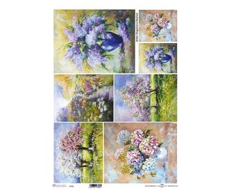 Ριζόχαρτο  Ριζόχαρτο