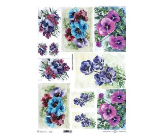 Ριζόχαρτο Ριζόχαρτο