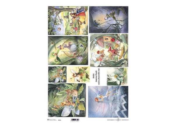 Ριζόχαρτο  Ριζόχαρτο