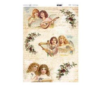 Ριζόχαρτο Ριζόχαρτο