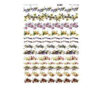 Ριζόχαρτο Ριζόχαρτο