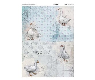 Ριζόχαρτο  Ριζόχαρτο