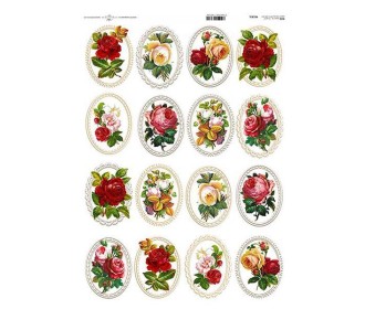 Ριζόχαρτο Ριζόχαρτο