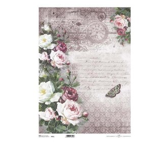 Ριζόχαρτο  Ριζόχαρτο