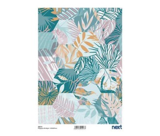 Next ριζόχαρτο Next ριζόχαρτο