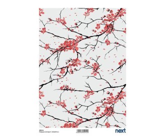 Next ριζόχαρτο Next ριζόχαρτο