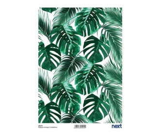 Next ριζόχαρτο Next ριζόχαρτο