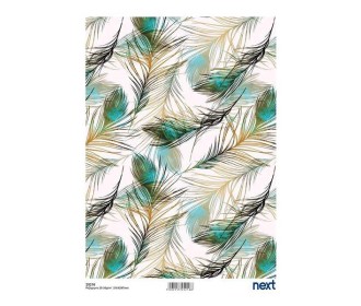 Next ριζόχαρτο Next ριζόχαρτο