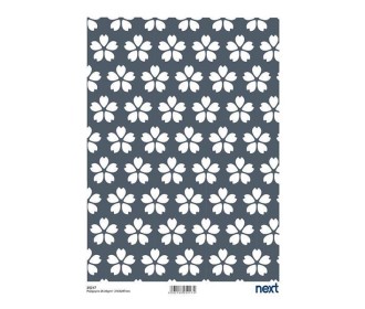 Next ριζόχαρτο Next ριζόχαρτο