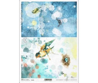 Ριζόχαρτο Ριζόχαρτο