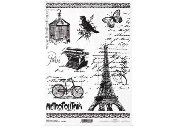 Ριζόχαρτο  Ριζόχαρτο