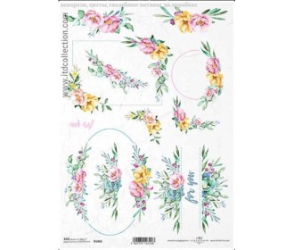 Ριζόχαρτο  Ριζόχαρτο