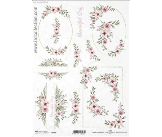 Ριζόχαρτο  Ριζόχαρτο