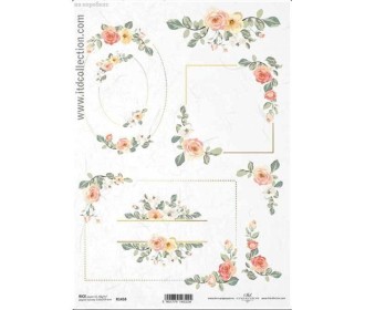 Ριζόχαρτο  Ριζόχαρτο