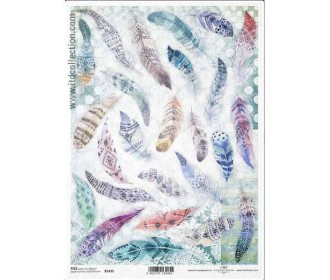 Ριζόχαρτο Ριζόχαρτο