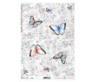 Ριζόχαρτο Ριζόχαρτο