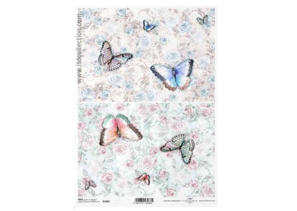 Ριζόχαρτο  Ριζόχαρτο