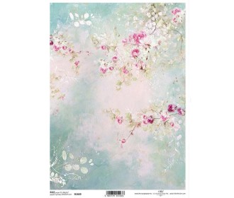 Ριζόχαρτο  Ριζόχαρτο