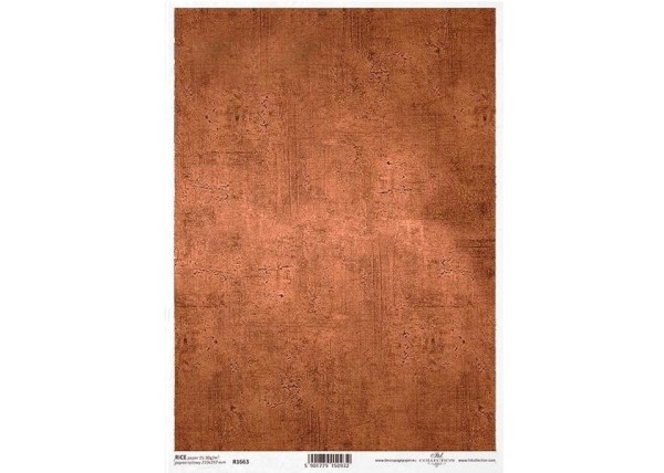 Ριζόχαρτο  Ριζόχαρτο