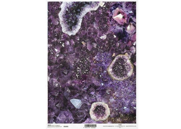 Ριζόχαρτο  Ριζόχαρτο