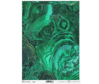 Ριζόχαρτο  Ριζόχαρτο