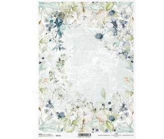 Ριζόχαρτο  Ριζόχαρτο