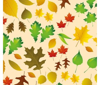 Χαρτόνι Χαρτόνι