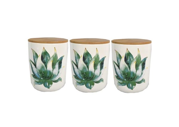 Βαζάκι κεραμικό κάκτος με καπάκι μπαμπού, σετ 3τμχ Υ12x10εκ. Βαζάκι κεραμικό κάκτος με καπάκι μπαμπού, σετ 3τμχ Υ12x10εκ.