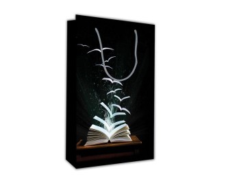 Next χάρτινη τσάντα Μαύρο βιβλίο Υ28x18x6 Next χάρτινη τσάντα Μαύρο βιβλίο Υ28x18x6