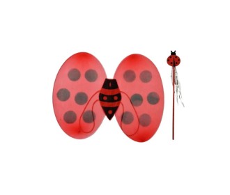 Σετ πασχαλίτσας