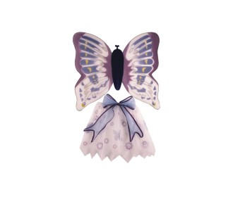 Σετ πεταλούδας ροζ με φούστα και φτερά