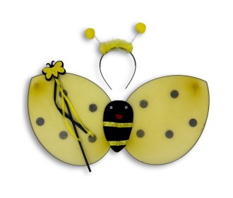 Σετ μελισσούλας