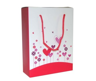 Next χάρτινη τσάντα κουτί Λουλούδια Καρδιές Υ22x16.5x6.5εκ.