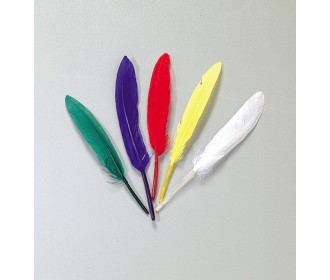 Φτερά ινδιάνου 14εκ.. 72τεμ. σε διάφορα χρώματα